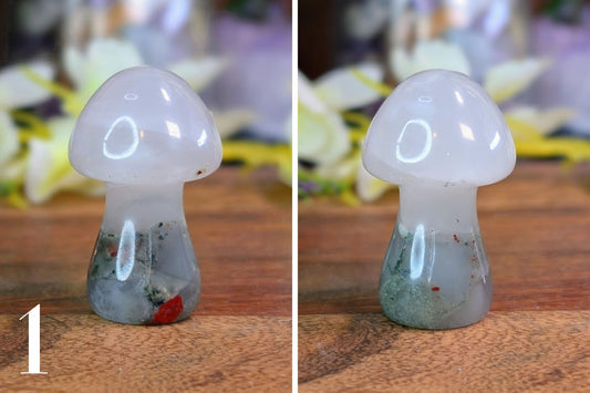 African Bloodstone Mushroom