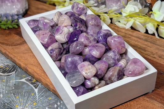 Amethyst Tumbled - Set of 5