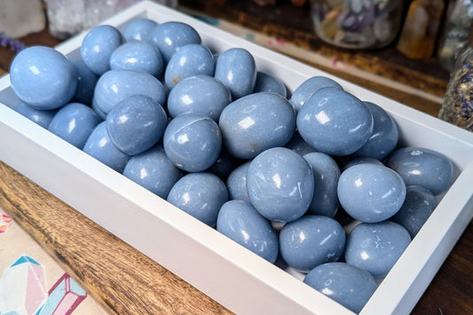 Angelite Tumbled - Set of 5