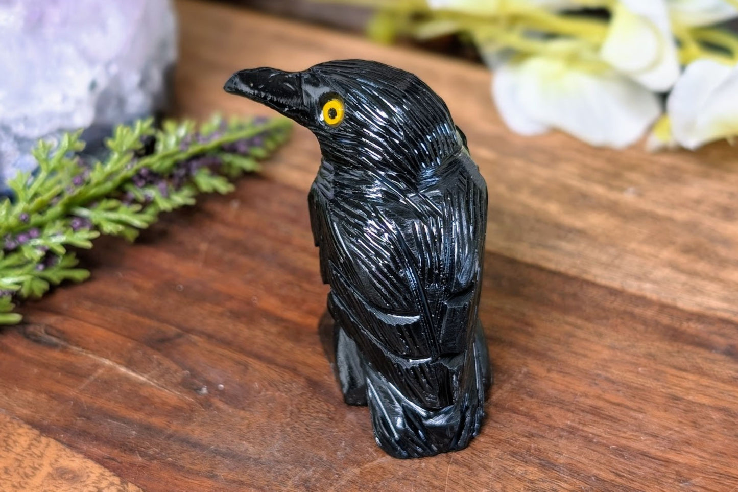 Black Onyx Raven