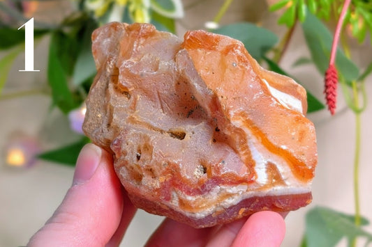 Carnelian Rough Pieces