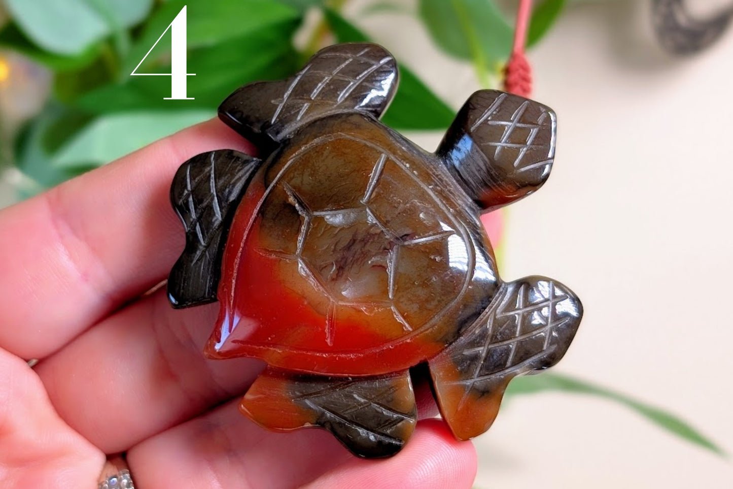 Carnelian Turtle