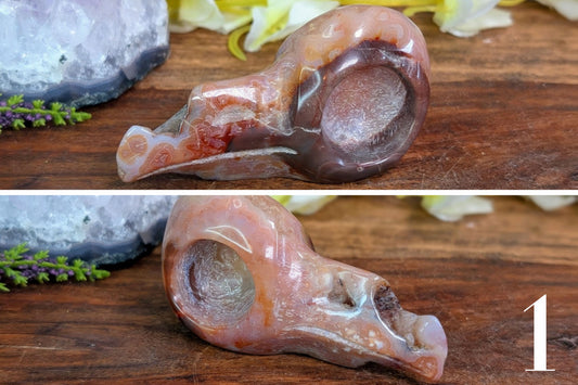 Crazy Lace Agate Bird Skull