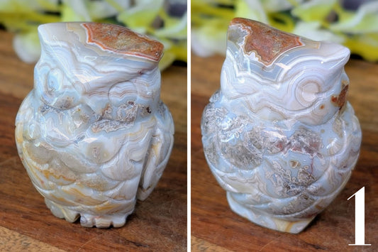 Crazy Lace Agate Owl