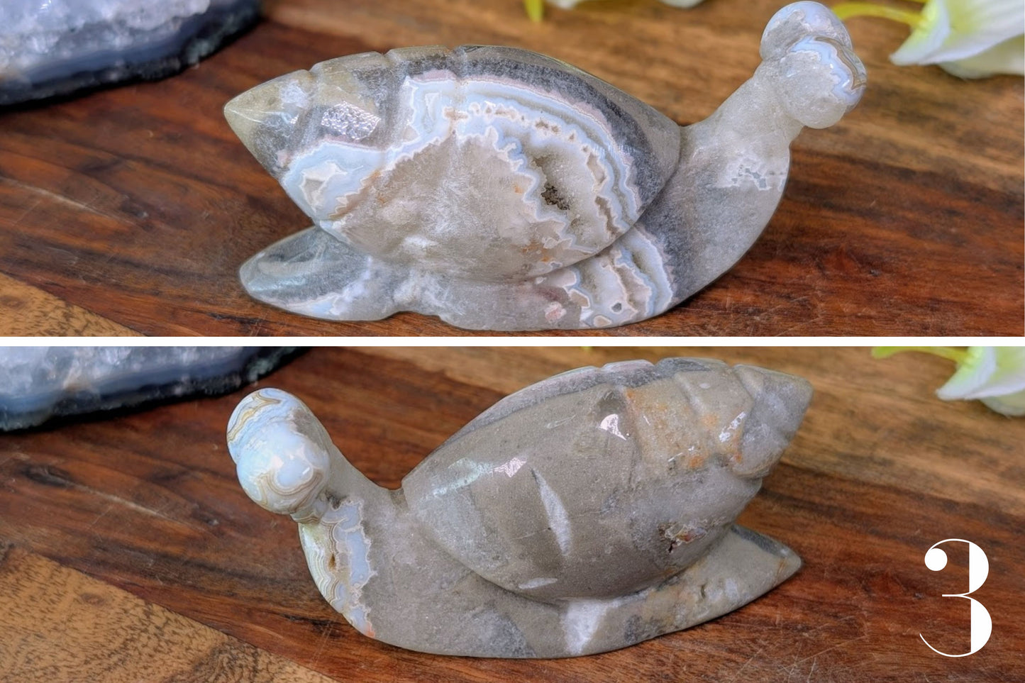 Crazy Lace Agate Snail