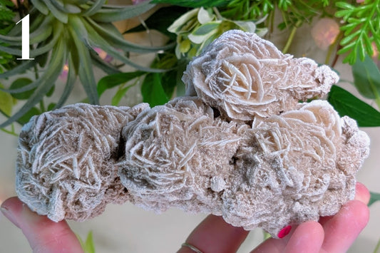 Desert Rose Cluster Specimen