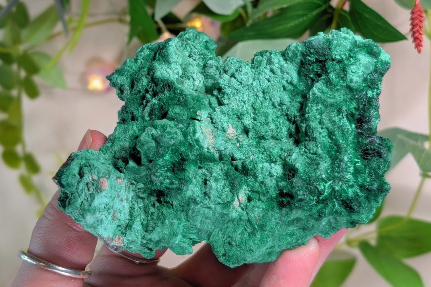 Malachite Fibrous Cluster