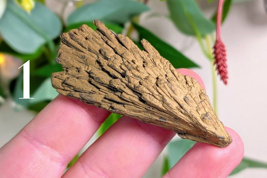 Gold Aura Kyanite Fan