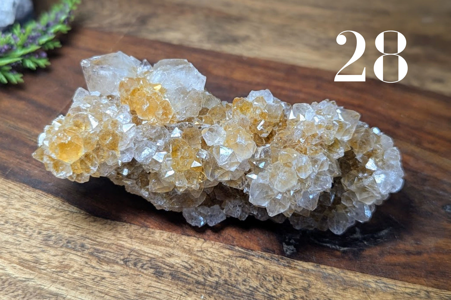 Golden Healer Spirit Quartz Cluster