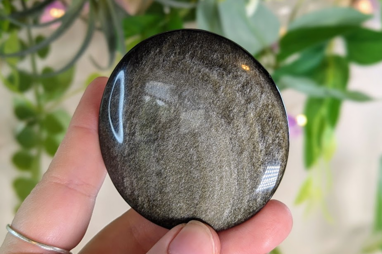 Gold Sheen Obsidian Palm Stone - Round