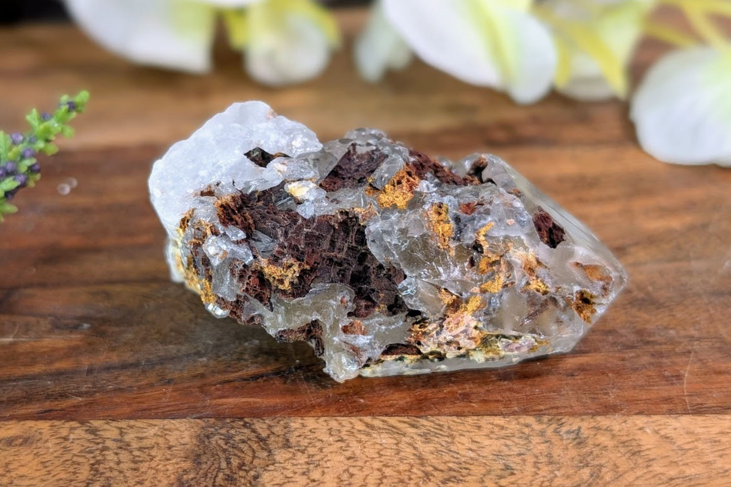 Harlequin Quartz Rough Point