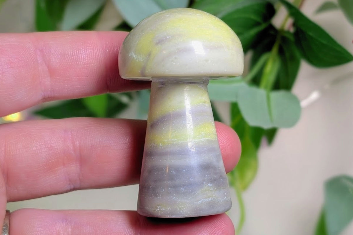 Infinite Serpentine Mushroom