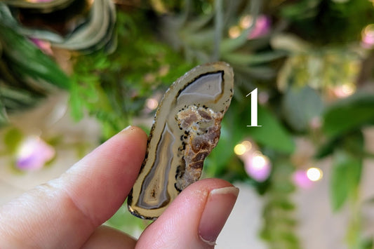 Agate Slice - Natural