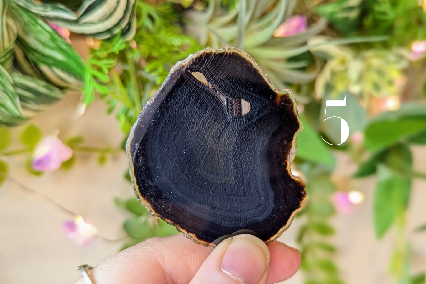 Agate Slice - Natural