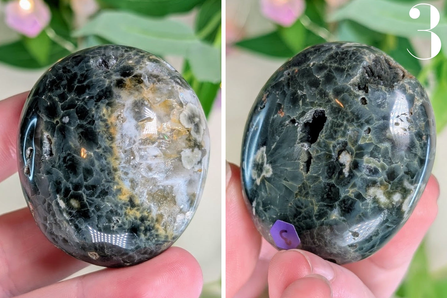 Ocean Jasper Palm Stone