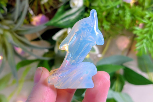 Opalite Dolphin