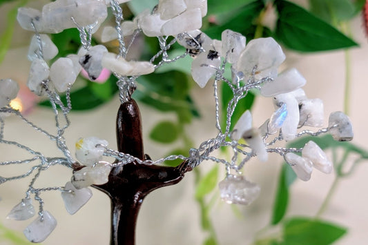 Rainbow Moonstone Gem Tree