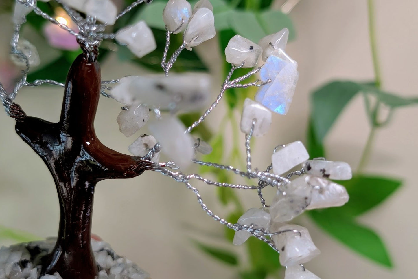 Rainbow Moonstone Gem Tree