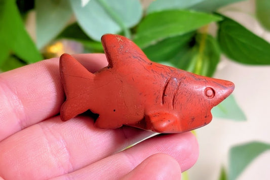Red Jasper Shark