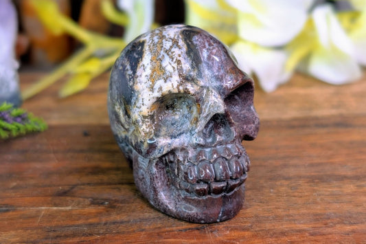 Red Zebra Jasper Skull