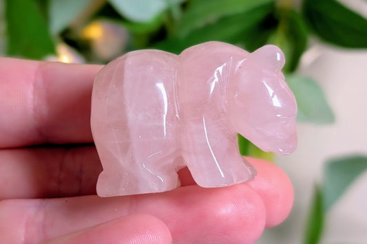 Rose Quartz Bear
