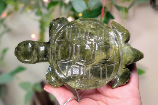Serpentine Turtle