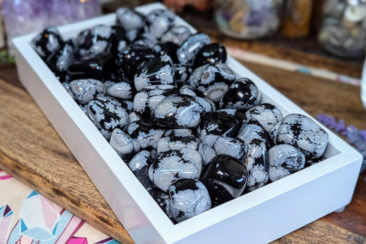 Snowflake Obsidian Tumbled - Set of 3