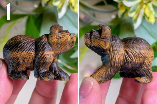 Tiger Eye Bear