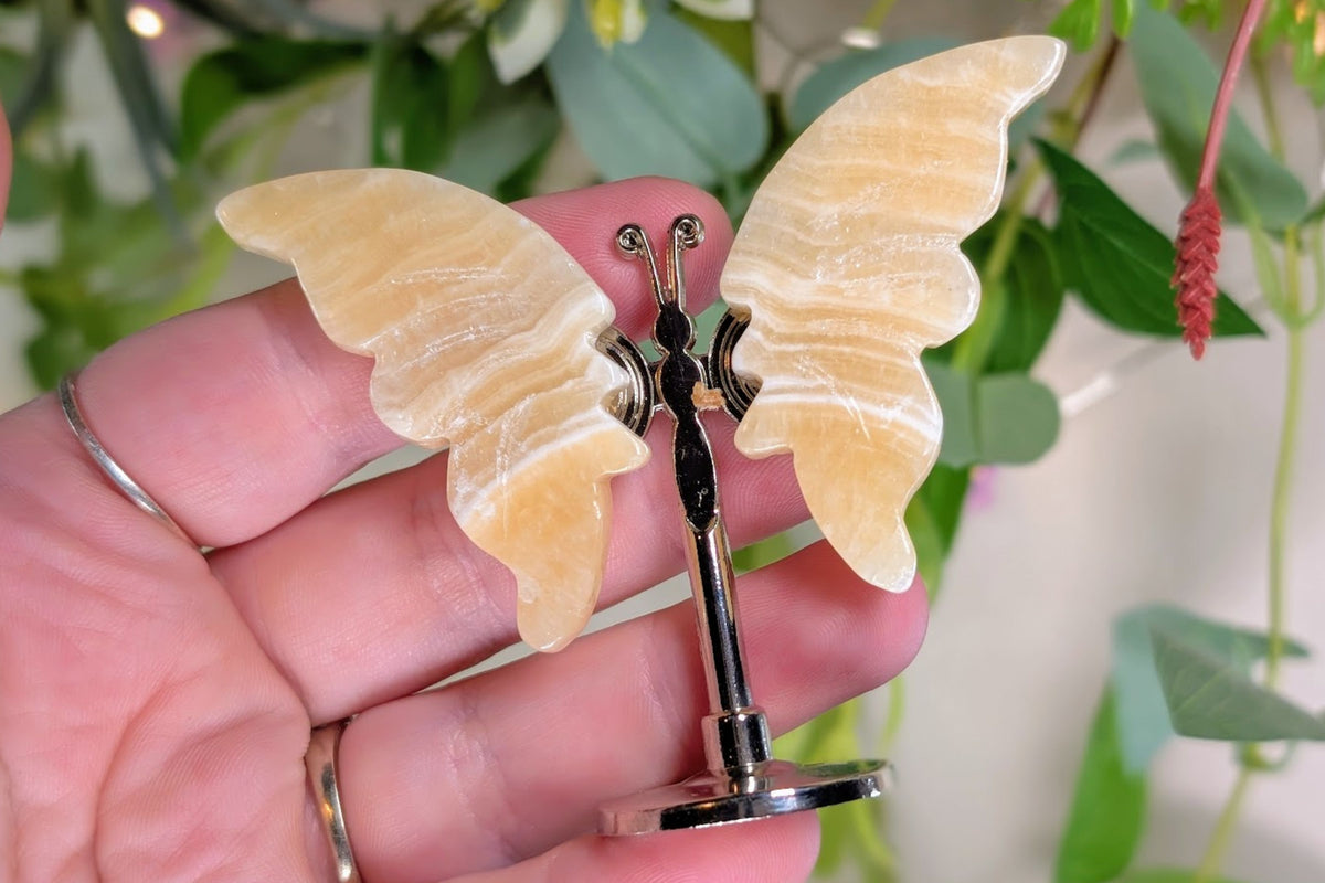 Yellow Calcite Butterfly on Stand