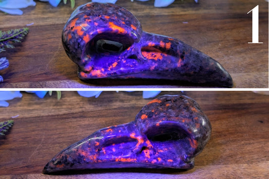 Yooperlite Raven Skull