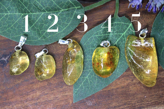 Amber Free Form Necklace