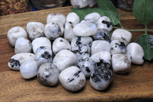 Rainbow Moonstone Tumbled - Set of 5