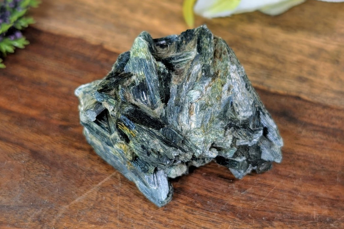 Actinolite Specimen