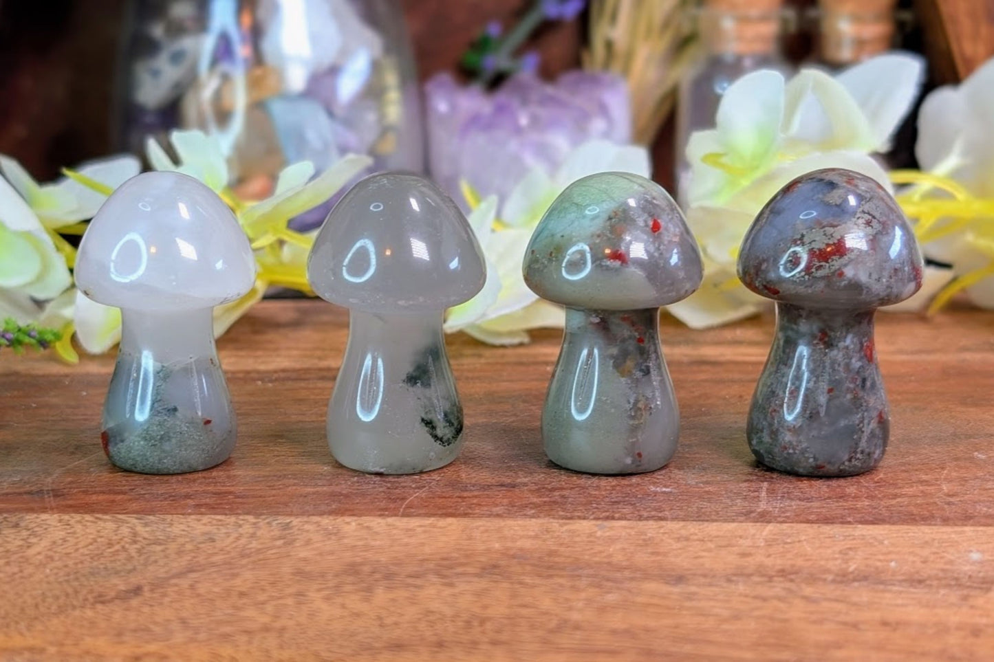 African Bloodstone Mushroom