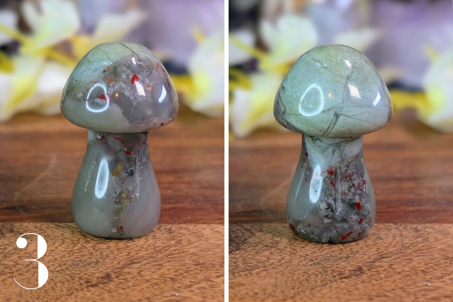 African Bloodstone Mushroom