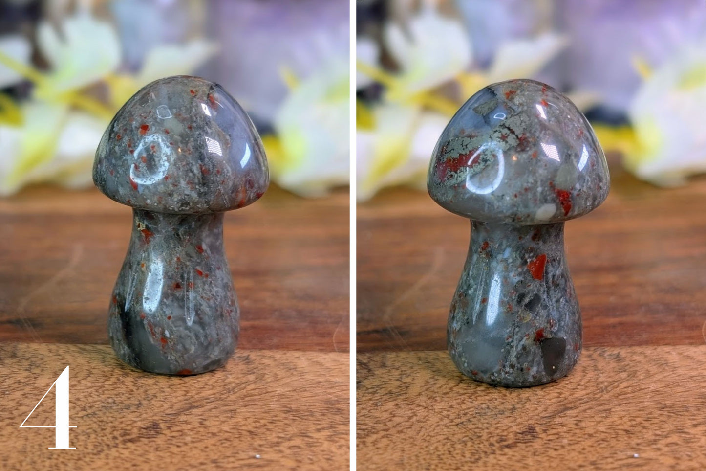 African Bloodstone Mushroom