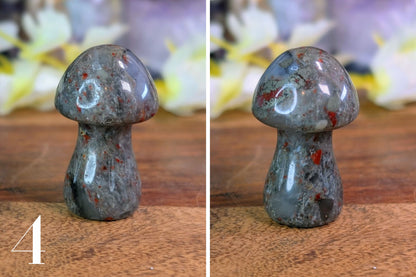 African Bloodstone Mushroom