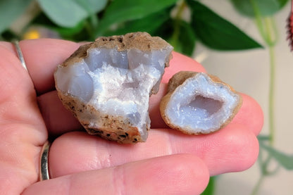 Agate Geode Halves - Set of 3