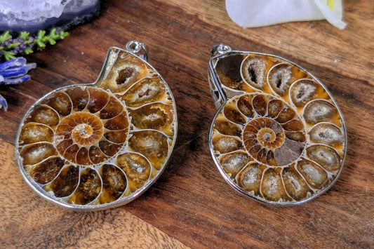 Ammonite Half Necklace