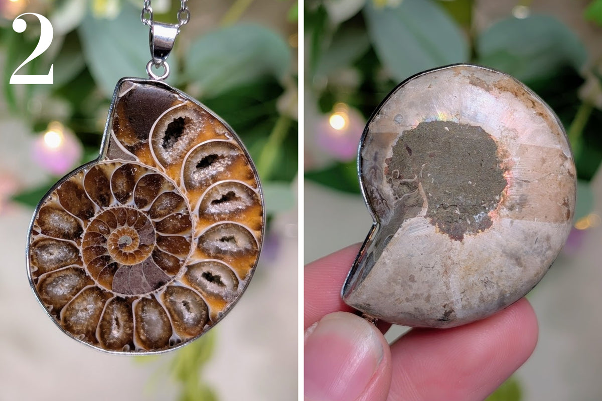 Ammonite Half Necklace