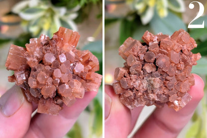 Aragonite Cluster