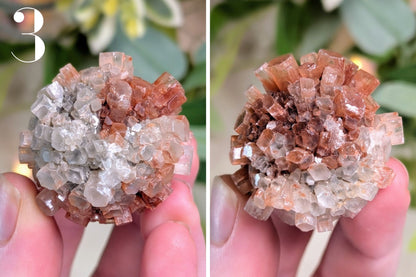 Aragonite Cluster