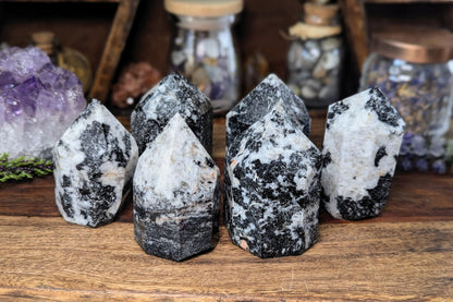 Black Tourmaline in Quartz Point 2.5"