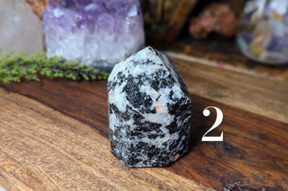 Black Tourmaline in Quartz Point 2.5"