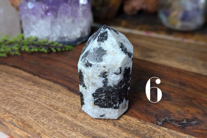 Black Tourmaline in Quartz Point 2.5"