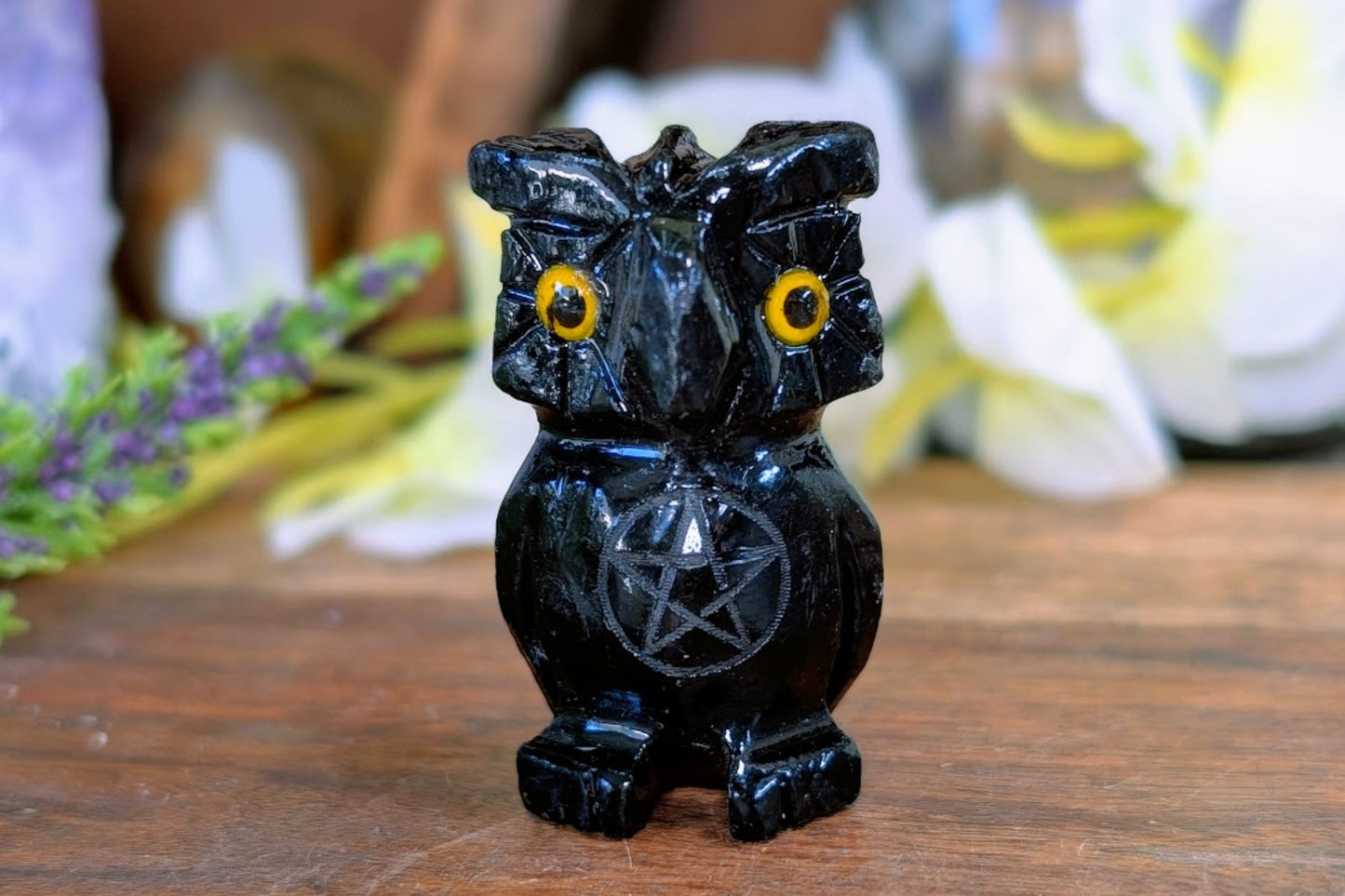 Black Onyx Owl with Pentacle