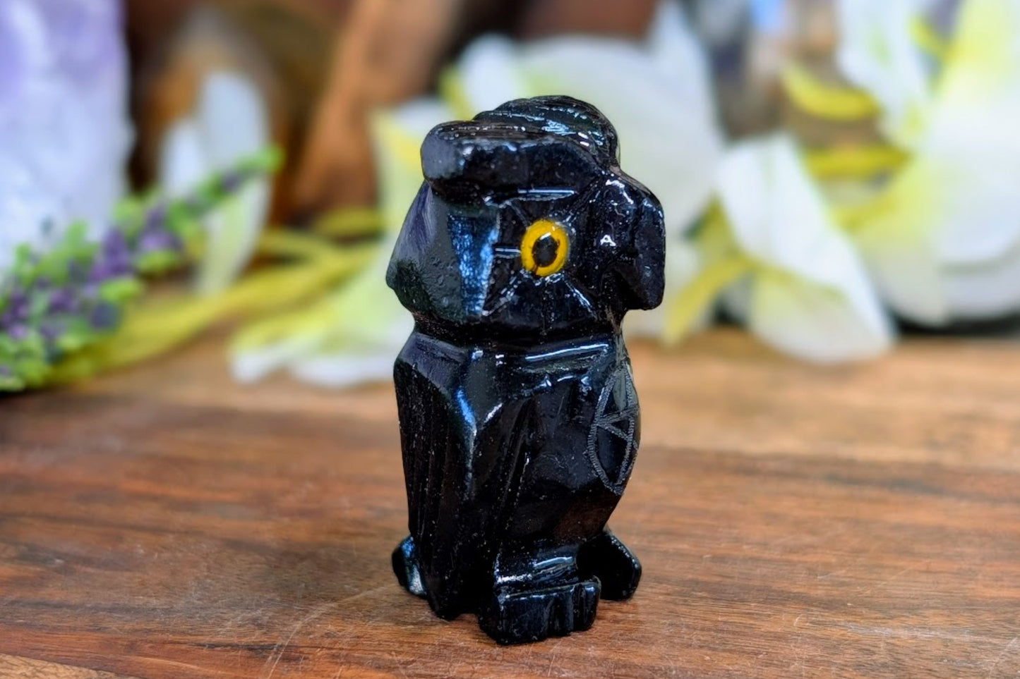 Black Onyx Owl with Pentacle