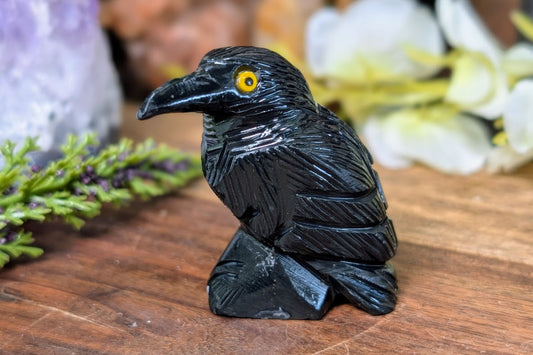 Black Onyx Raven