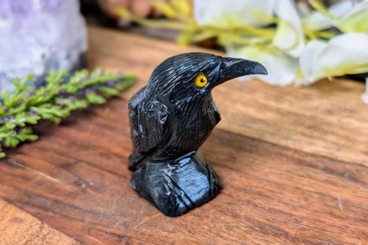 Black Onyx Raven