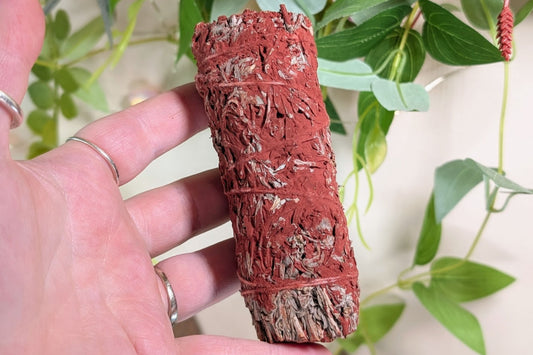 Blue Sage with Dragon's Blood Resin Herb Bundle 4"